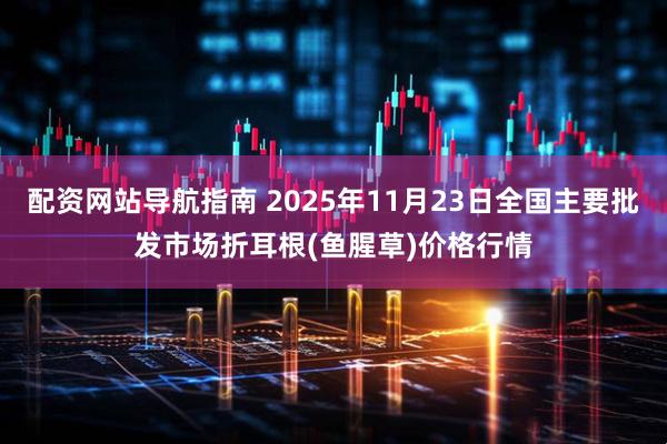 配资网站导航指南 2025年11月23日全国主要批发市场折耳根(鱼腥草)价格行情