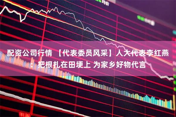 配资公司行情 【代表委员风采】人大代表李红燕：把根扎在田埂上 为家乡好物代言