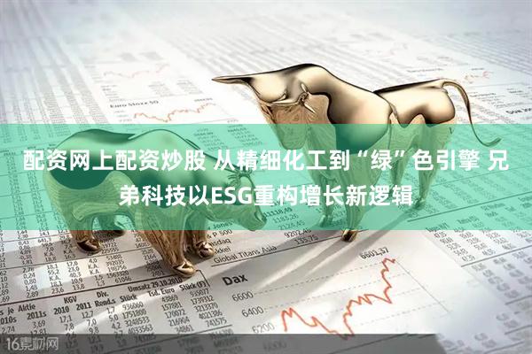 配资网上配资炒股 从精细化工到“绿”色引擎 兄弟科技以ESG重构增长新逻辑